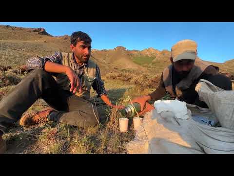 DAĞLARDA SONBAHAR KURAKLIĞI EVLER GİDİŞ ZAMANI GELDİ