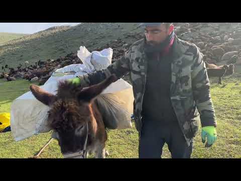 KARLI DAĞLARA ULAŞTIK POZGEWR GERİ GELDİ 5 BÖLÜM