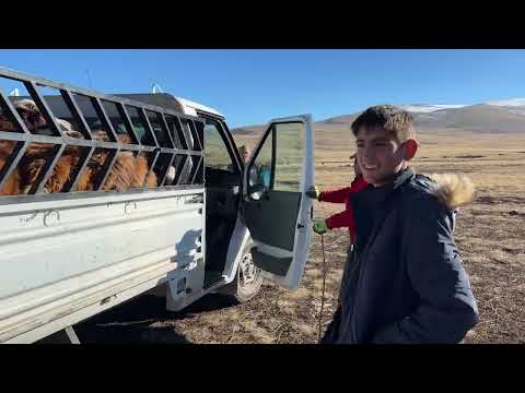 SARIKAMIŞ DAĞLARINDA SOĞUK BİR SABAH BEŞO İLE İLGİLİ