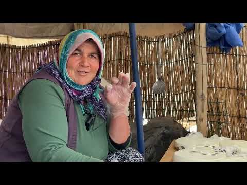 YAYLADA SİS VE YAĞMUR PEYNİR NASIL KORUNUR