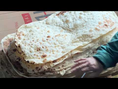 HIRÇO YABANCI KÖPEKLERE ÜSTÜNLÜK KURUYOR TANDIR EKMEĞİ