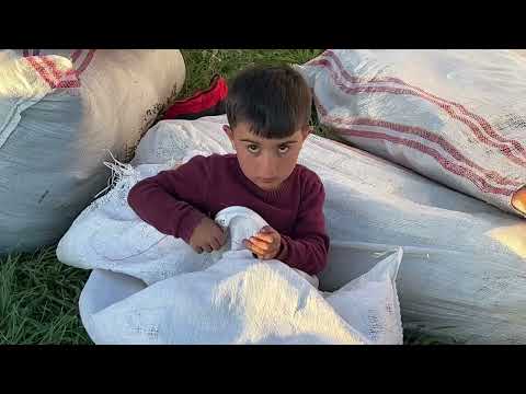 EVLER GELDİ ÇADIR KURMA SEFERBERLİĞİ BAŞLADI