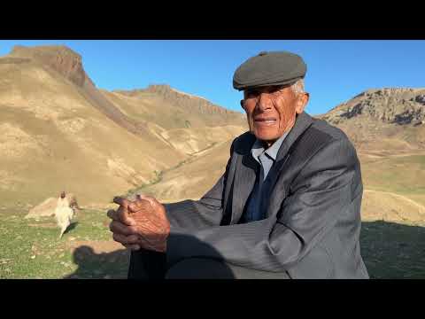 5 KAYIP DELİBAŞ BELASI VE KORUMA AŞILARI yaylada birgün