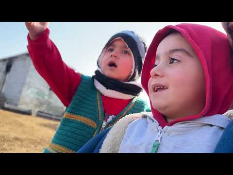 ERKEK KUZULARIN SON DURUMU ERDAL ABİNİN GÖRÜŞÜNE GİTTİK
