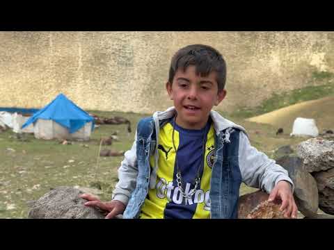 ERKEK KUZULARI DİŞİLERDEN AYIRDIK BAHARDAN BERİ OTARILMAYAN