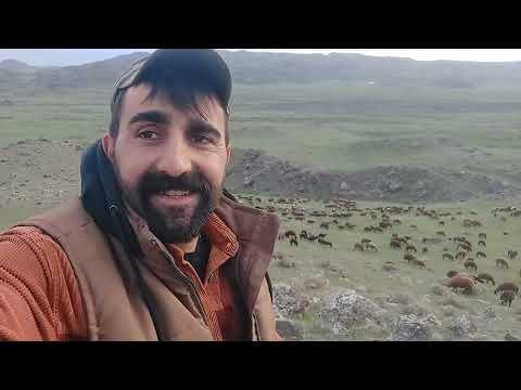 MOR KOYUN TV NİN VAROLUŞ HİKAYESİ SARSILMAZ DOĞURDU POZGEVR