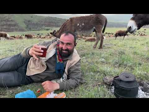 KURT KUZUNUN BOĞAZINI PARÇALADI