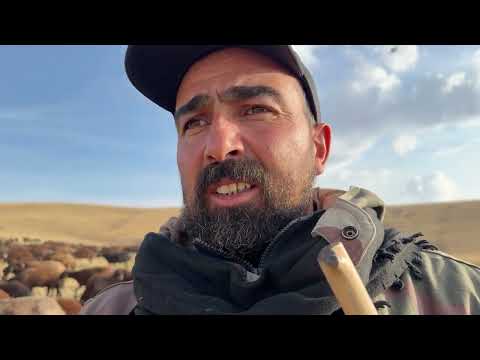 ALİ DAYI NASIL KAYBOLDU Anlatıyor Gece Koyuna Kurt Geldi