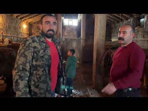 45 İNEĞİN BULUNDUĞU İŞLETME TARİHİ ESERLE DOLU EV MÜZE
