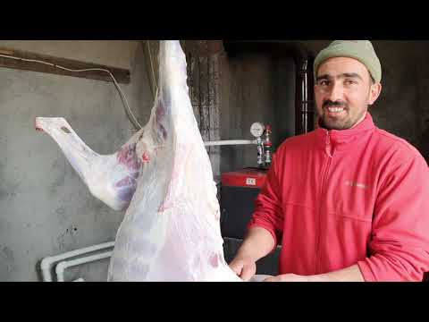 BUDA KOYUNCULUĞUN GÜZEL TARAFI MANGALDA ET YEDİK KARLI BİR