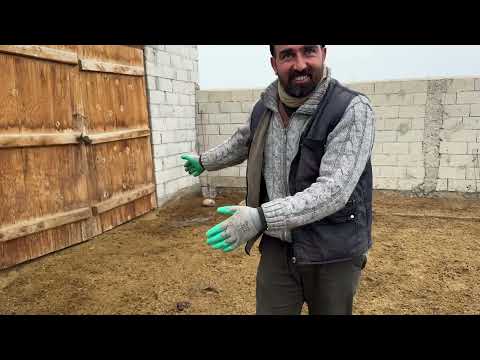 POZGEWR İN OĞLU BANA SALDIRIYOR BALYA OTU ALDIK