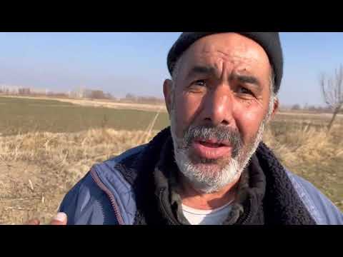 SARSILMAZIN CESARETİ YERİNE GELDİ KÖPEKLER UFAKTAN SÜRTÜŞTÜ