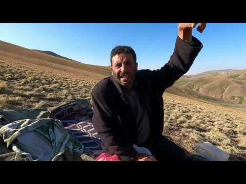 KURTLARIN 300 KOYUNU TELEF ETME HİKAYESİ ÇOBAN KÖPEĞİM