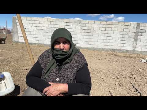 GEÇMİŞTEN KURT KÖPEK ANILARI FİDAN DİKİMİ
