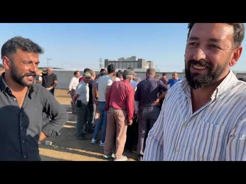 AĞUSTOS AYI HAYVAN PİYASASI SON DURUM IĞDIR HAYVAN PAZARI