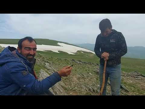 GÖÇ YOLCUĞUNDA SON GÜN BU YAYLALARDA HER TÜRLÜ OT VAR