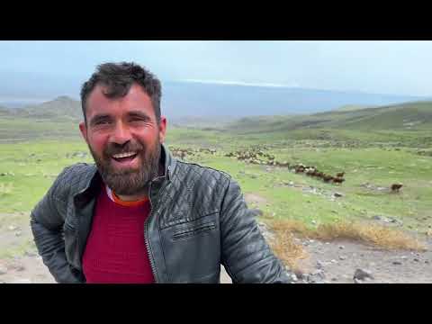 EŞEĞİ ANNESİ ZANNETTİ AĞRI DAĞINDA ÇOBANIN BİR GÜNÜ 4K