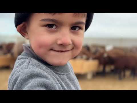 KIŞ SEZONU BAŞLADI CANLI DOĞUM