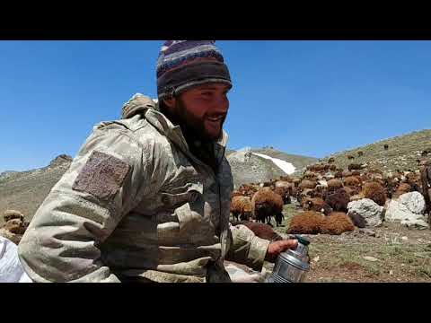 ÇOBANLIĞIN GÜZEL TARAFI KARLI DAĞLARA KARŞI ÇAY KEYFİ BAJO