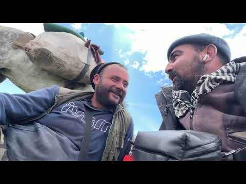 YOLCULUĞUN EN ZOR GÜNLERİ KUZULAR ÖLÜYOR SİSLİ HAVA 14 BÖLÜM
