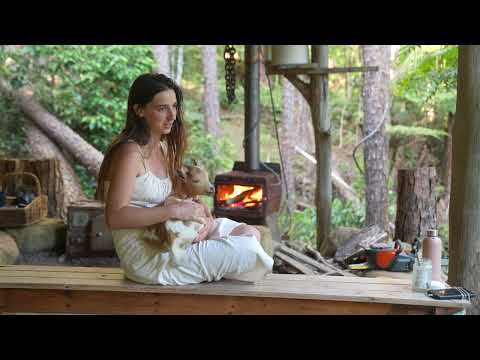 Wild Summer in the Rainforest Camping Waterfalls Snakes and