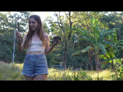 100 Years Off Grid My Family s Life in A Subtropical Banana