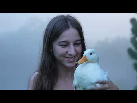 Off Grid Life in an Ancient Volcano Restoring the Rainforest