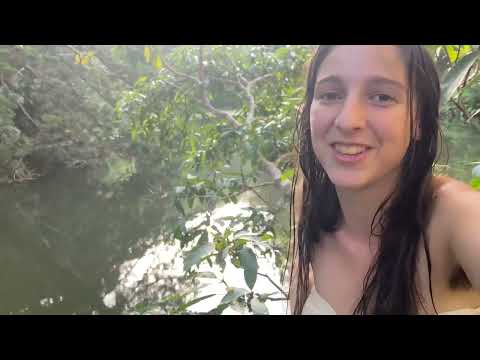 Our Off Grid Life Living in a Huge 60 year old Food Forest