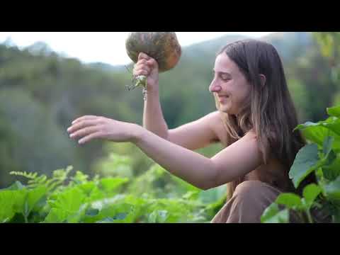 Spring Harvests
