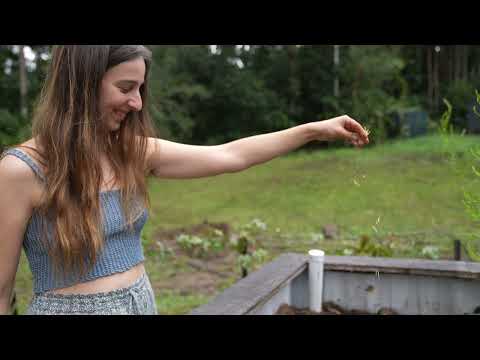 Building and Growing a Self Sufficient Life with Max Occy