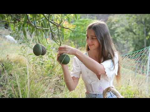 Rainy Days of Garden Harvests Cooking Sewing and Growing