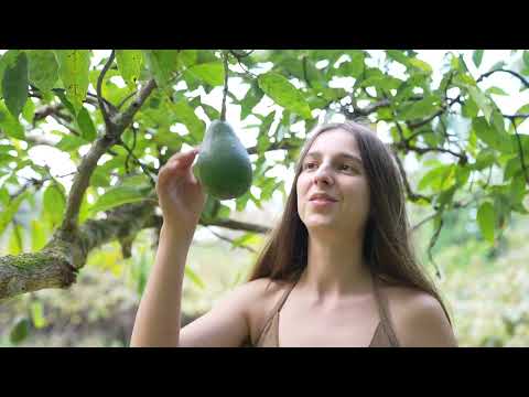 Wild Forest Life Spring Days of Fruit Harvests Cooking and