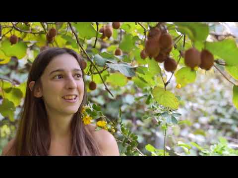 Harvesting and Cooking in the Countryside A Self Sufficient