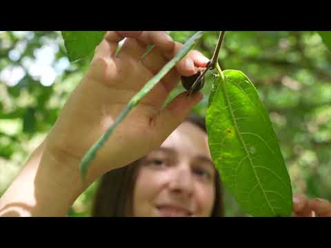 Life Lessons from the Rainforest