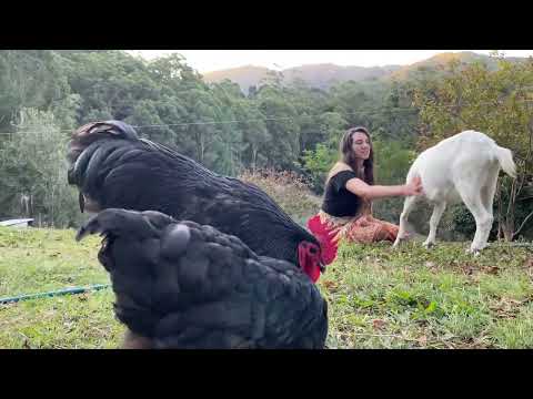 Winter Routines An Enchanting Slow Life in the Rainforest