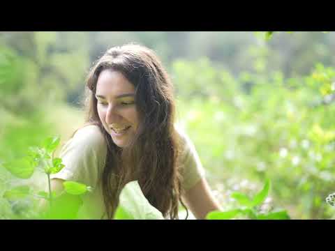The Feeling of the Season Calming Days of Fruit Picking and