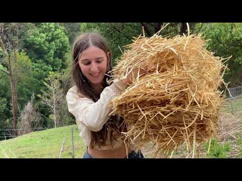 Hot Days of Hard Work Building a Permaculture Garden on our