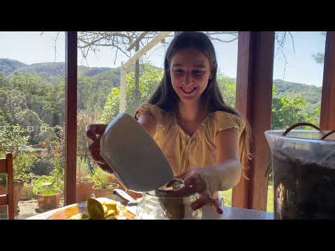 Daily Life in our Permaculture Garden Sunny Days of