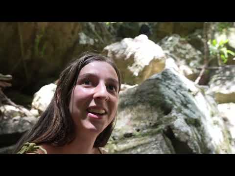 Discovering a Hidden Rainforest in an Ancient Volcano Crater