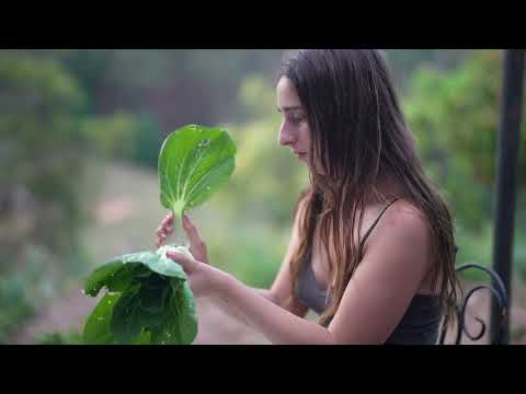 Spring Harvest Cooking with What My Garden Gives Me