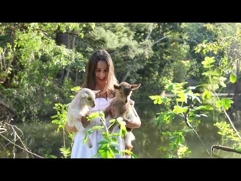 3 Years in the Rainforest Our Story