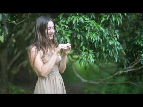 Summer on my Tropical Fruit Farm