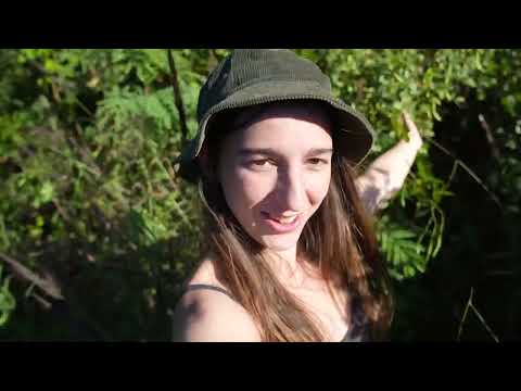 Growing My Own Fruit Harvesting Bananas in my Off Grid Food