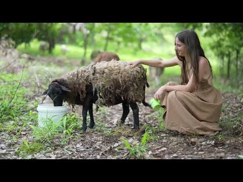 The Calming Sounds of Summertime Harvesting Cooking and