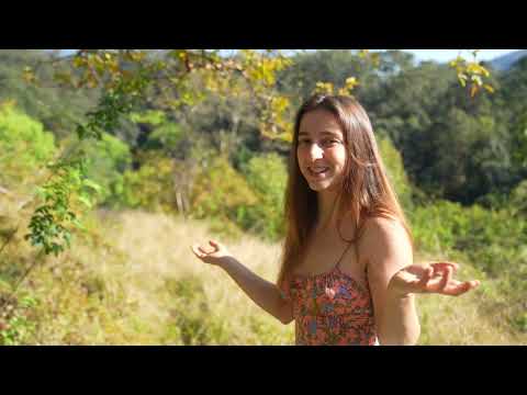 Three Generations Off Grid A Tour of How We Harvest Water