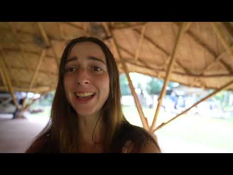 Building a Magical Bamboo Treehouse