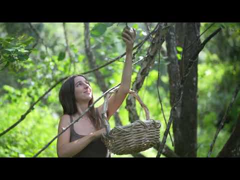 Nothing is Perfect Our Life in the Rainforest