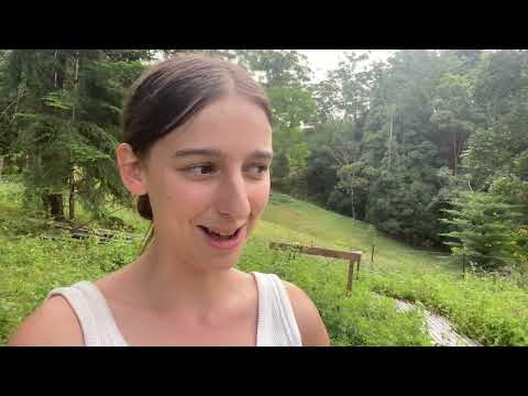 Zero Waste Building in the Rainforest an Off Grid Tiny