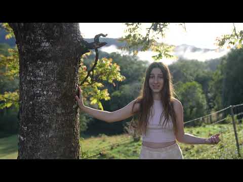 Our Off Grid Australian Rainforest Farm