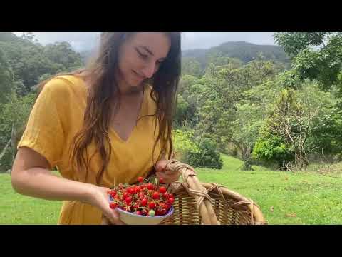 Daily Routines in the Countryside